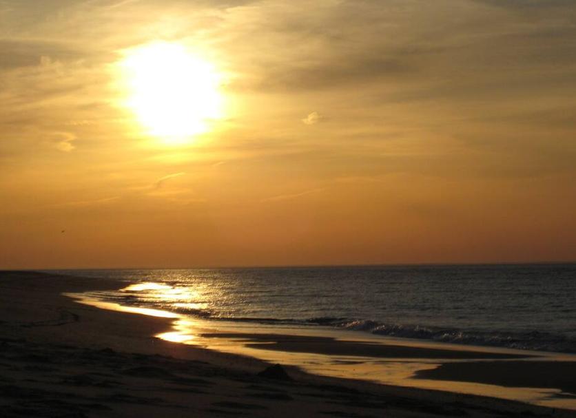 Strand Billede