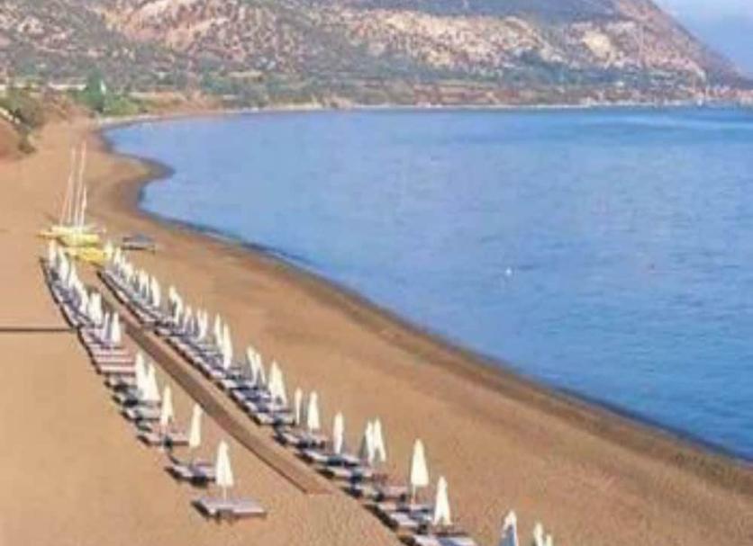 Strand Billede