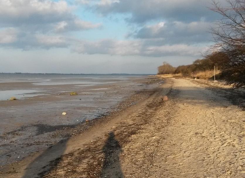 Strand Billede