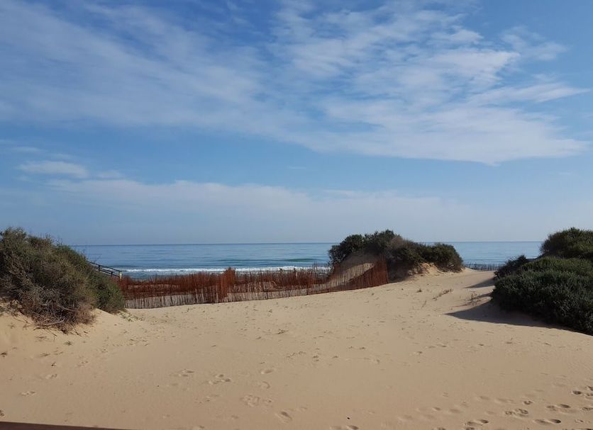 Strand Billede