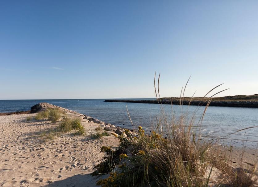 Strand Billede