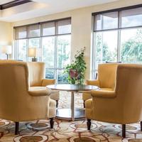 Comfort Suites Rock Hill Manchester Meadows Area
