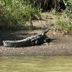 Andet