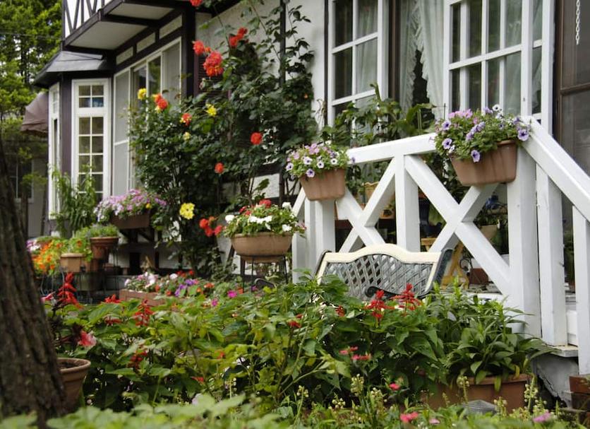 Patio Billede