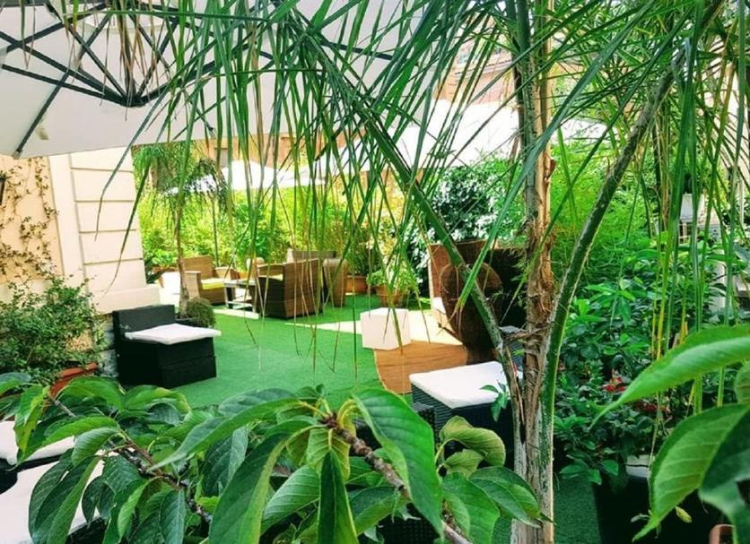 Patio Billede