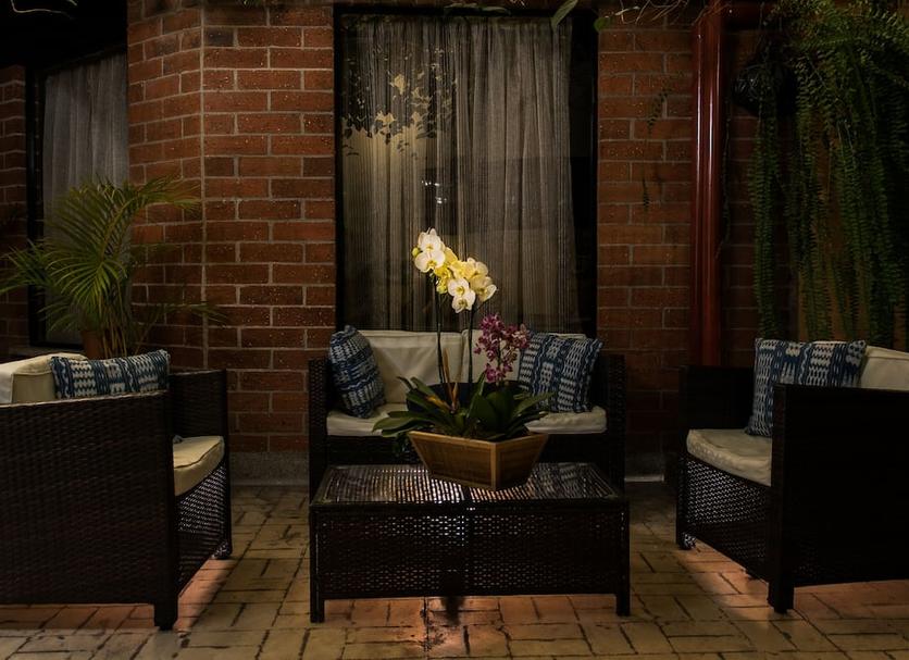 Patio Billede