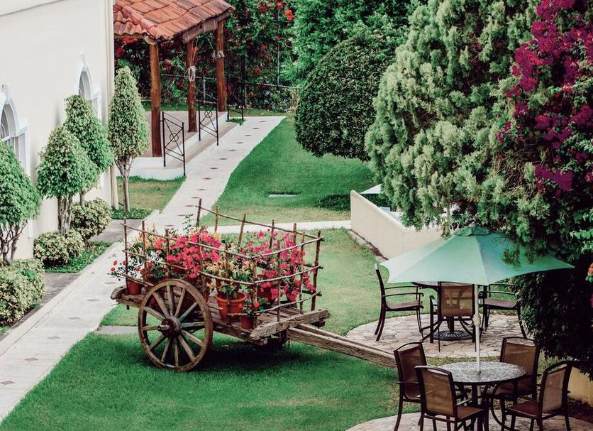 Patio Billede