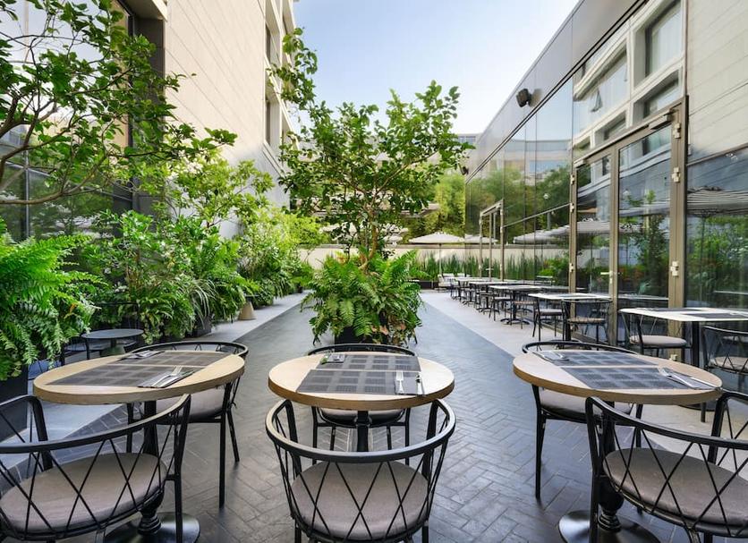 Patio Billede