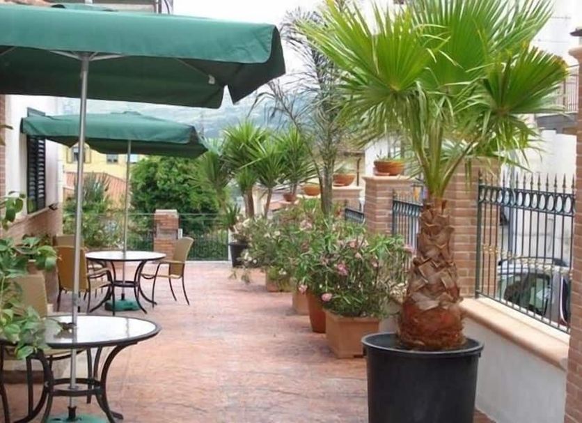 Patio Billede