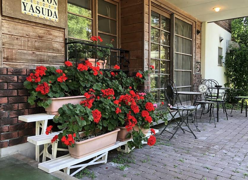 Patio Billede