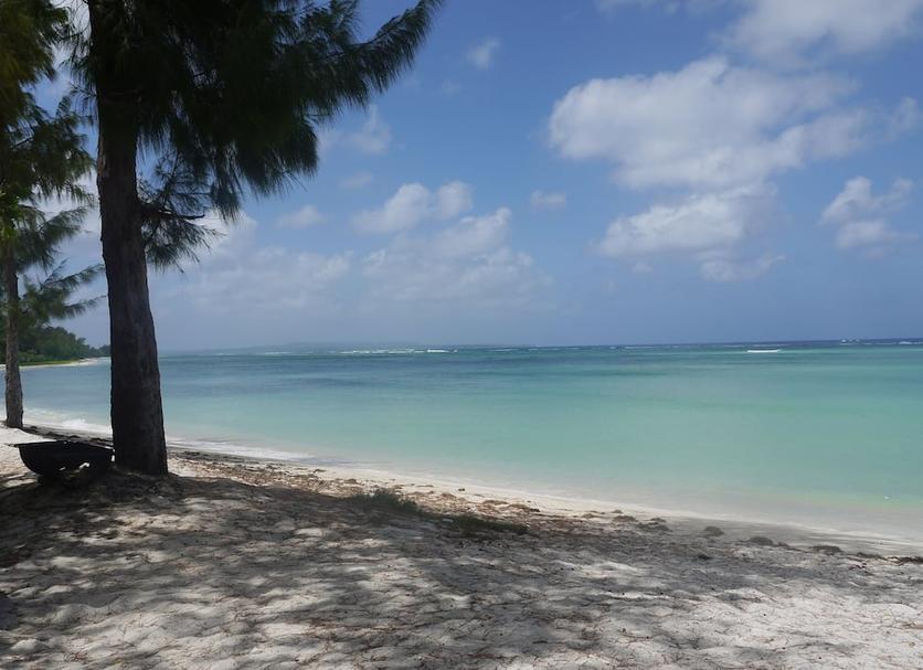 Strand Billede