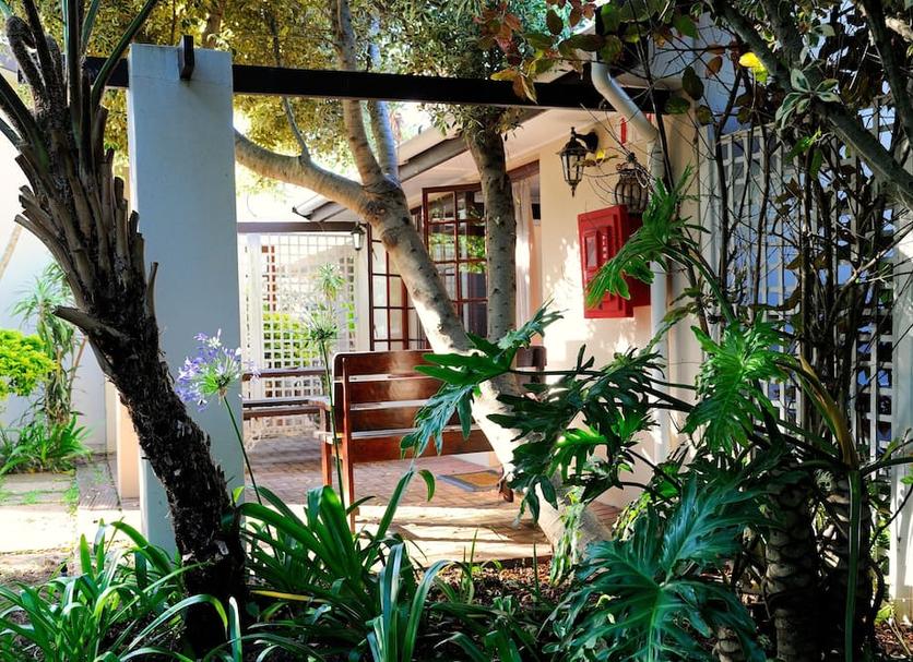 Patio Billede
