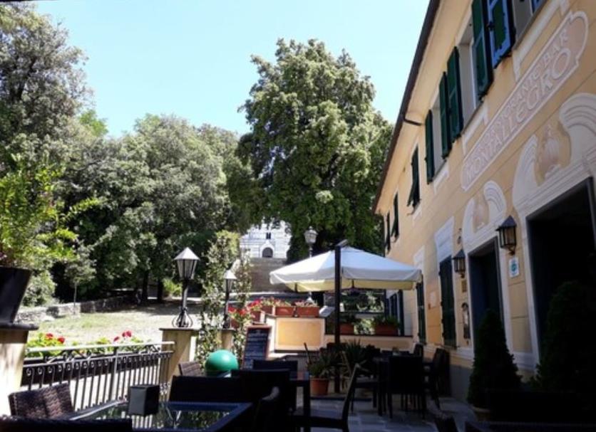 Patio Billede
