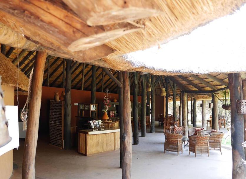 Patio Billede