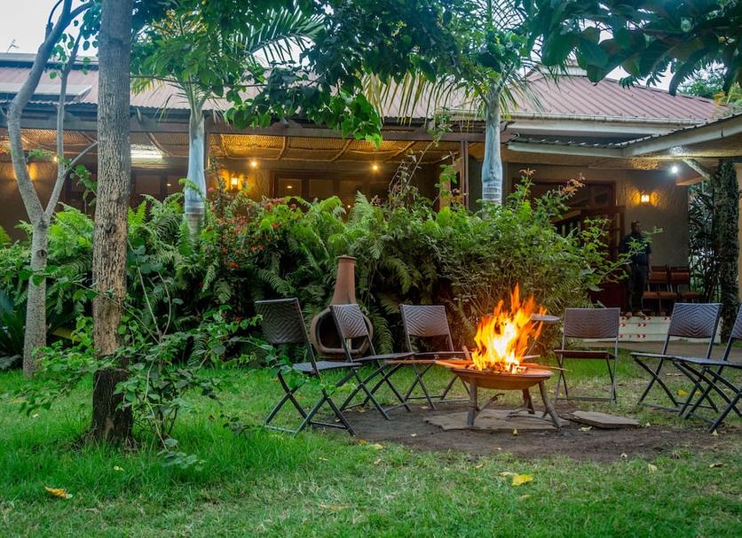 Patio Billede