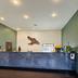 Receptionist