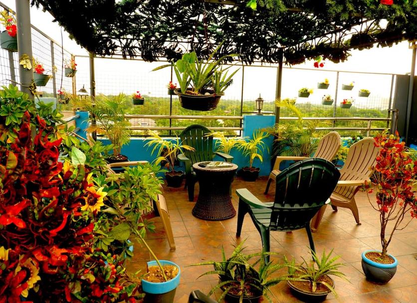 Patio Billede