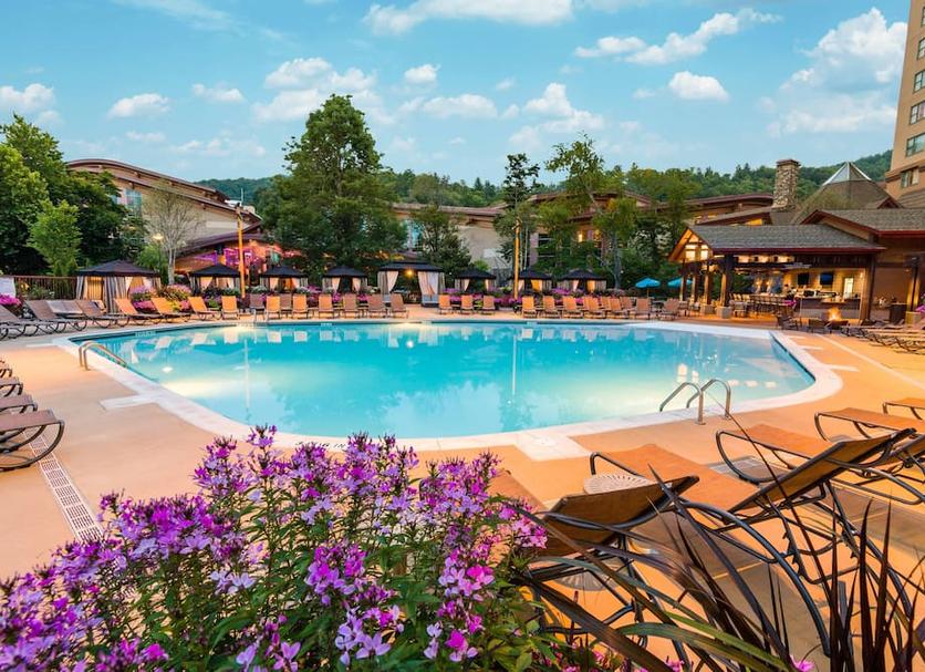 Pool Billede