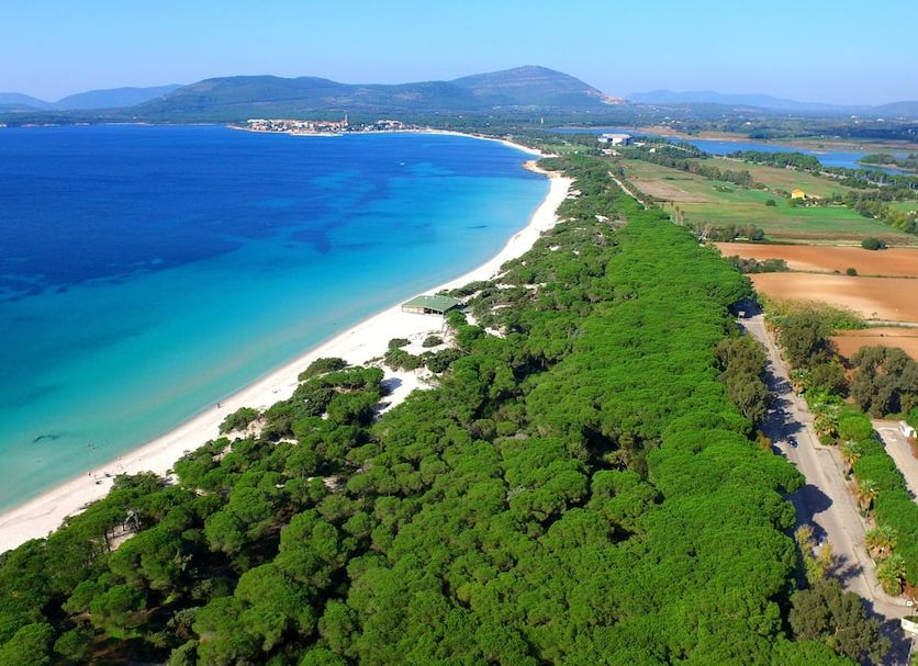 Strand Billede