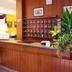 Receptionist