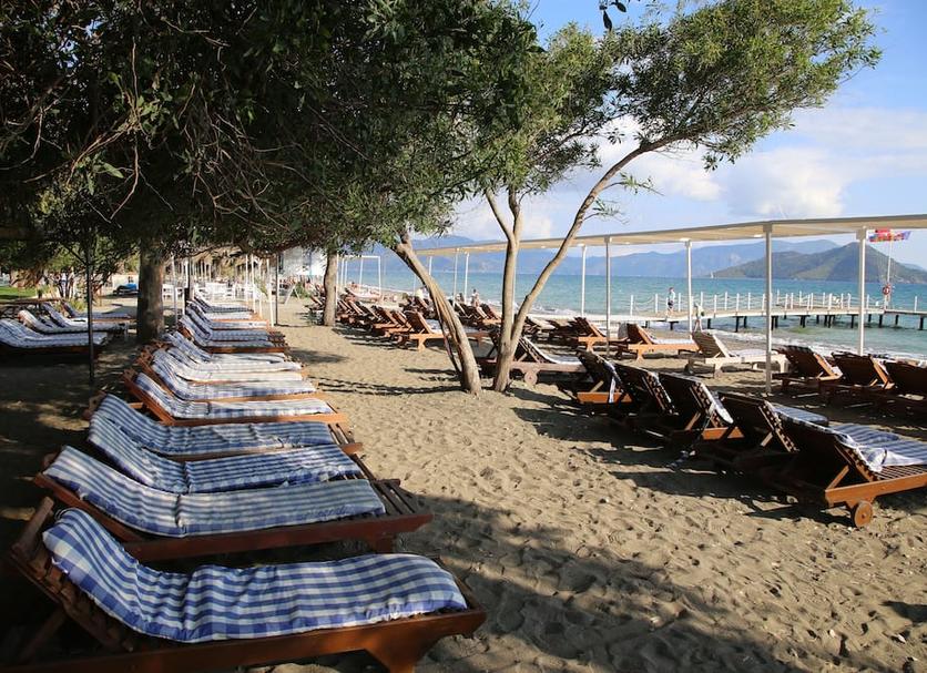 Strand Billede