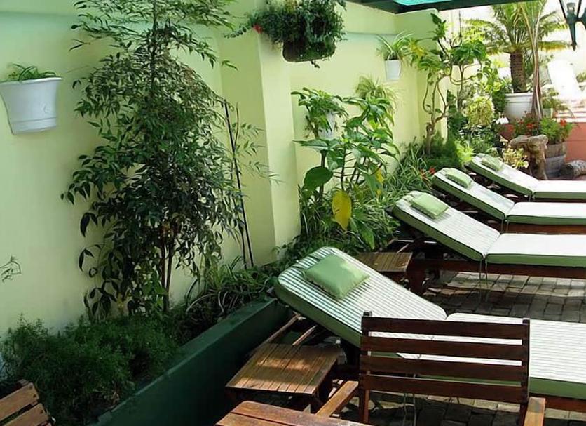 Patio Billede