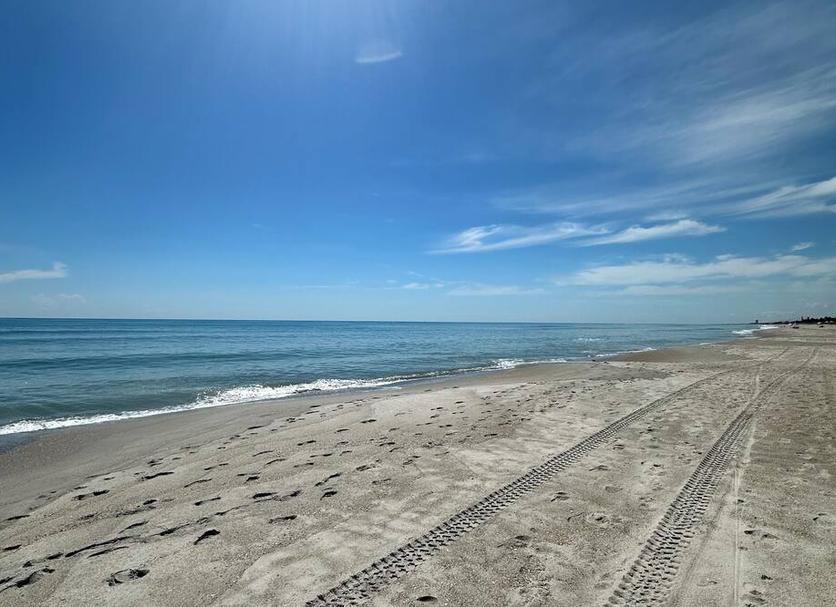 Strand Billede