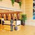 Receptionist