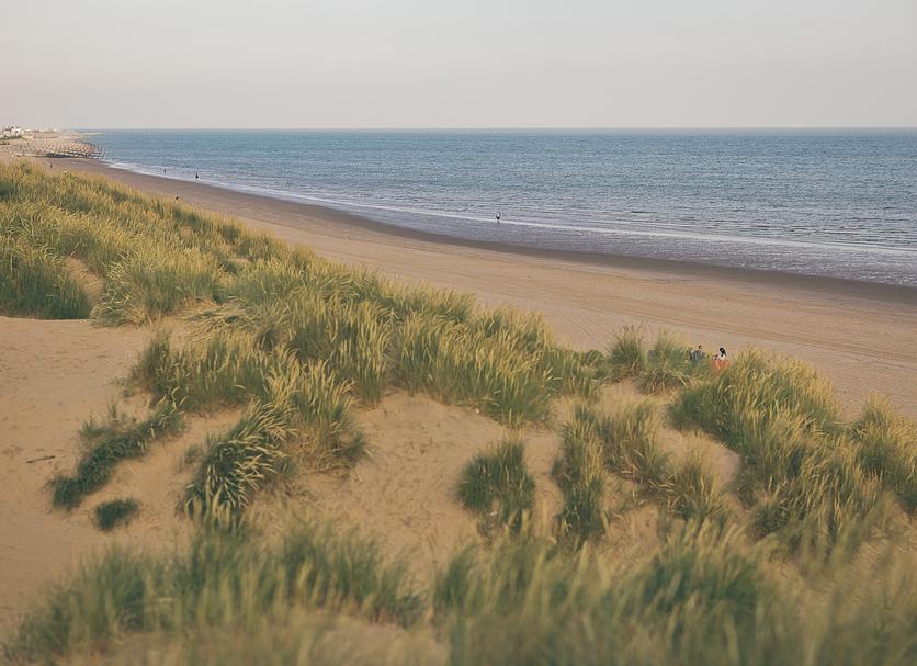 Strand Billede