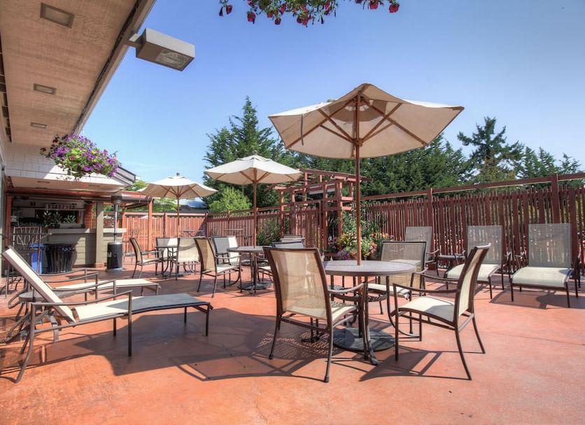 Patio Billede