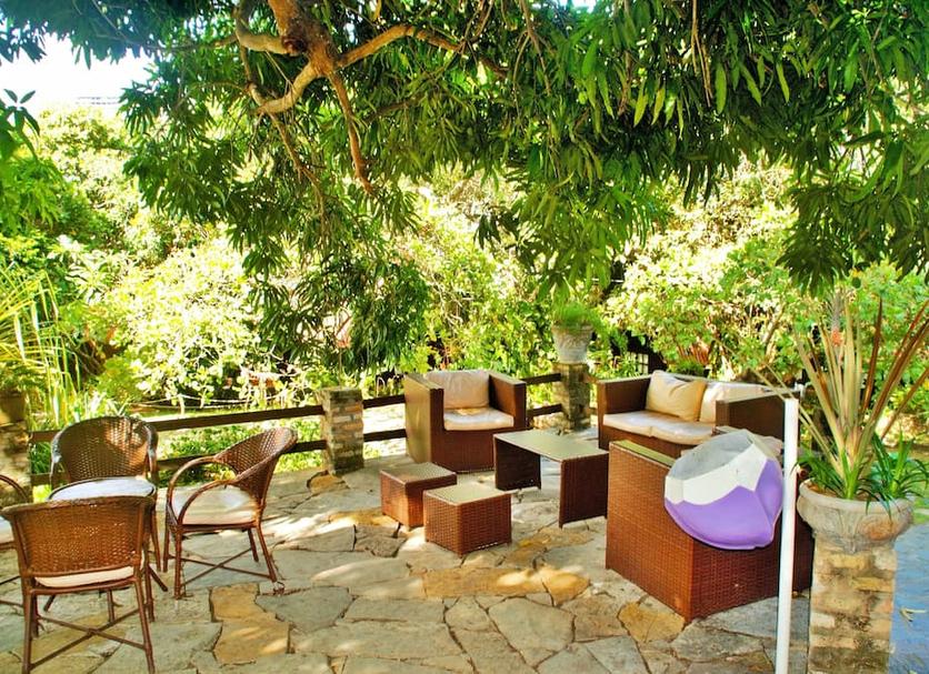 Patio Billede