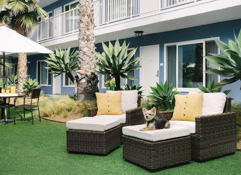 Patio Billede