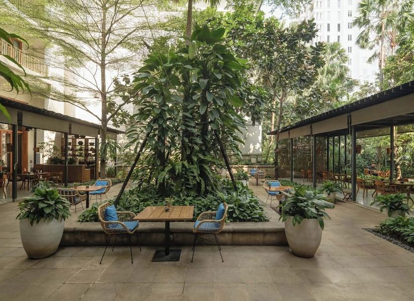 Patio Billede