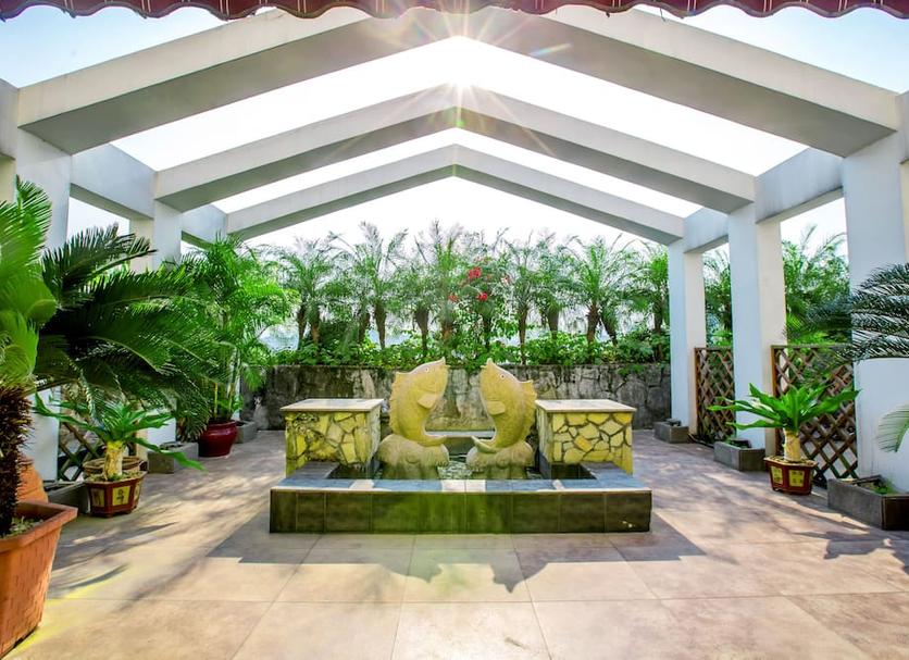 Patio Billede