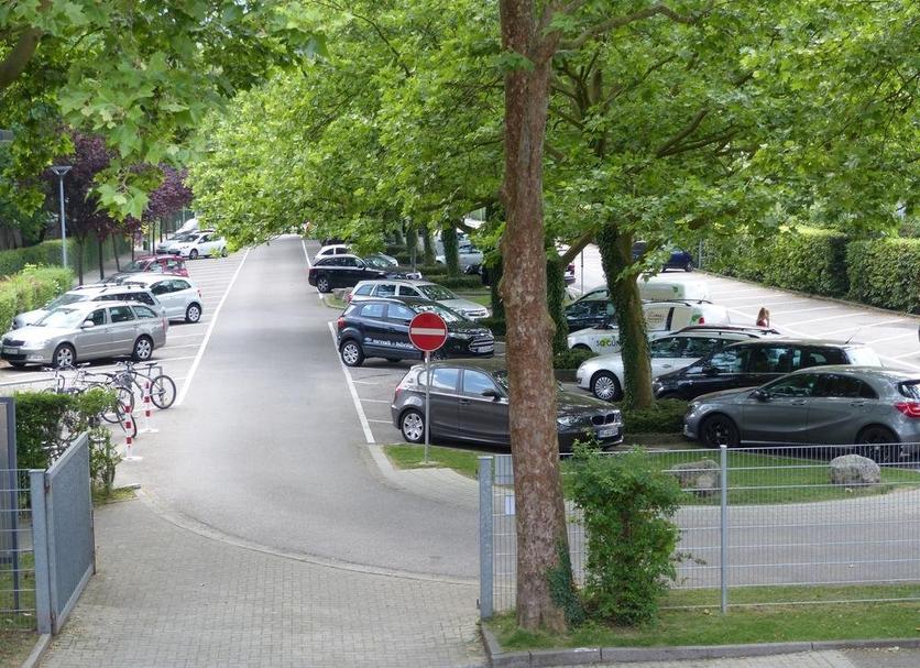 Udsigt Billede