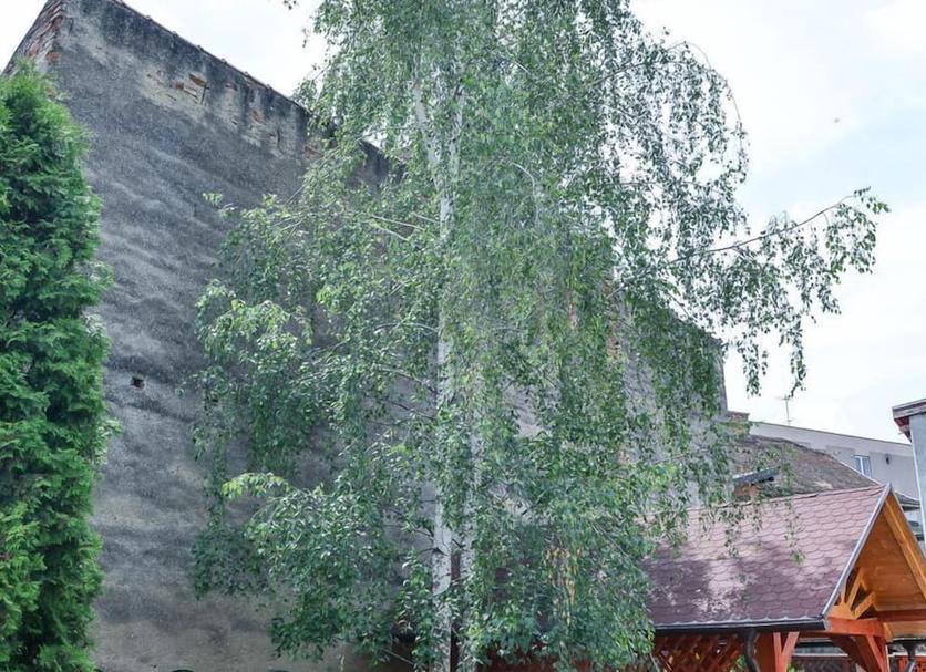 Udsigt Billede