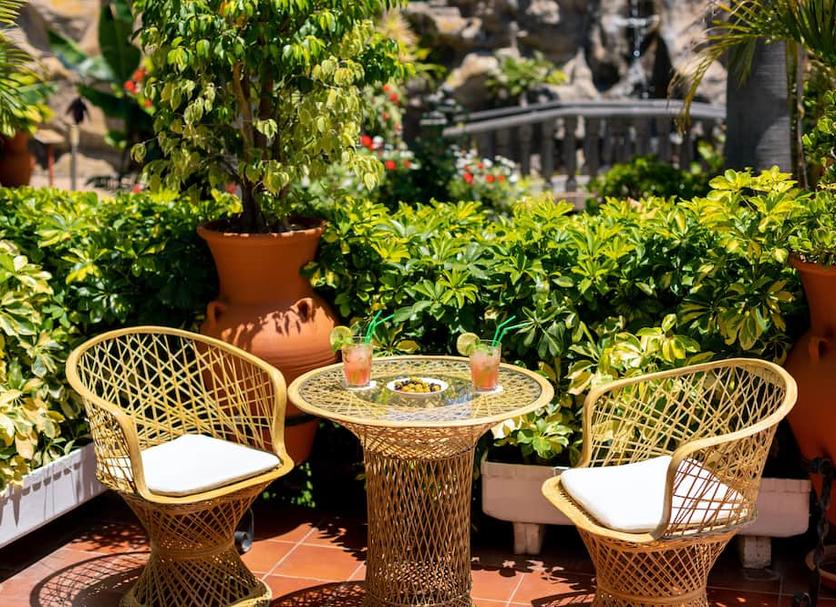Patio Billede