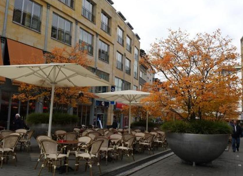 Patio Billede