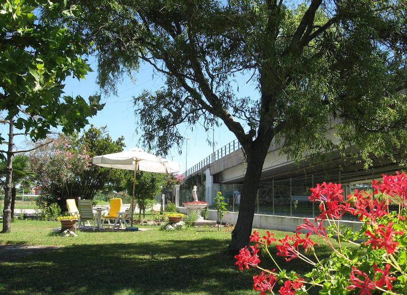 Patio Billede
