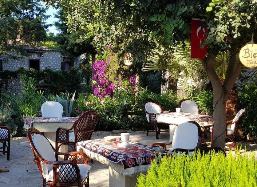 Patio Billede