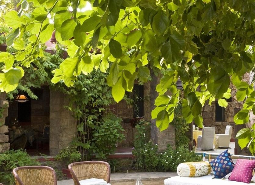 Patio Billede