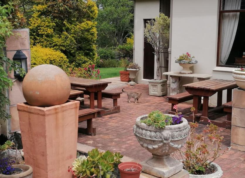 Patio Billede