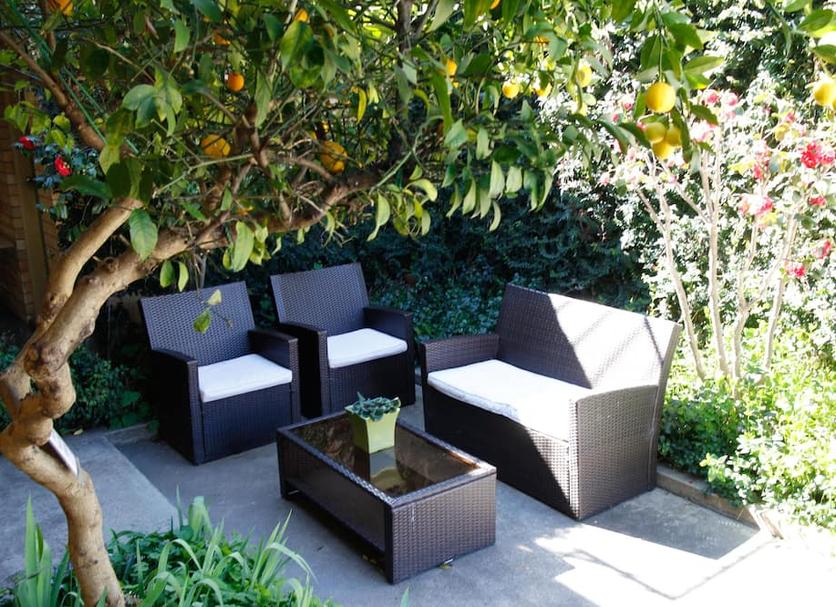 Patio Billede