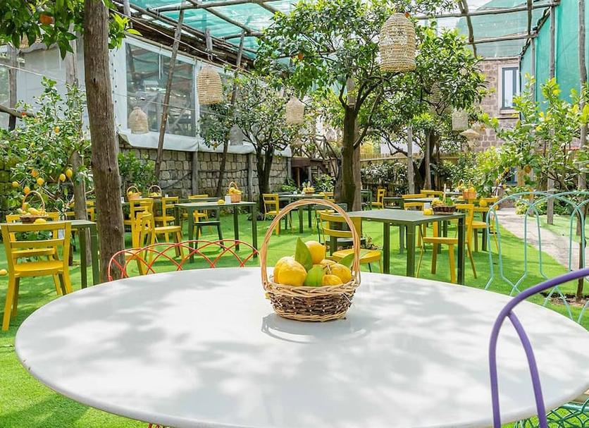 Patio Billede