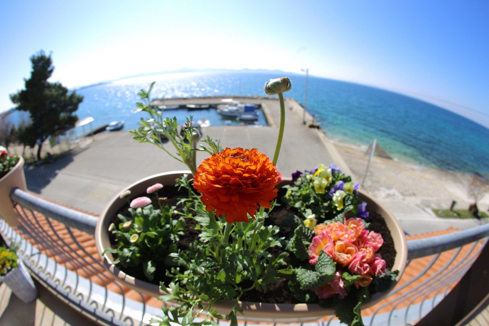 Balkon