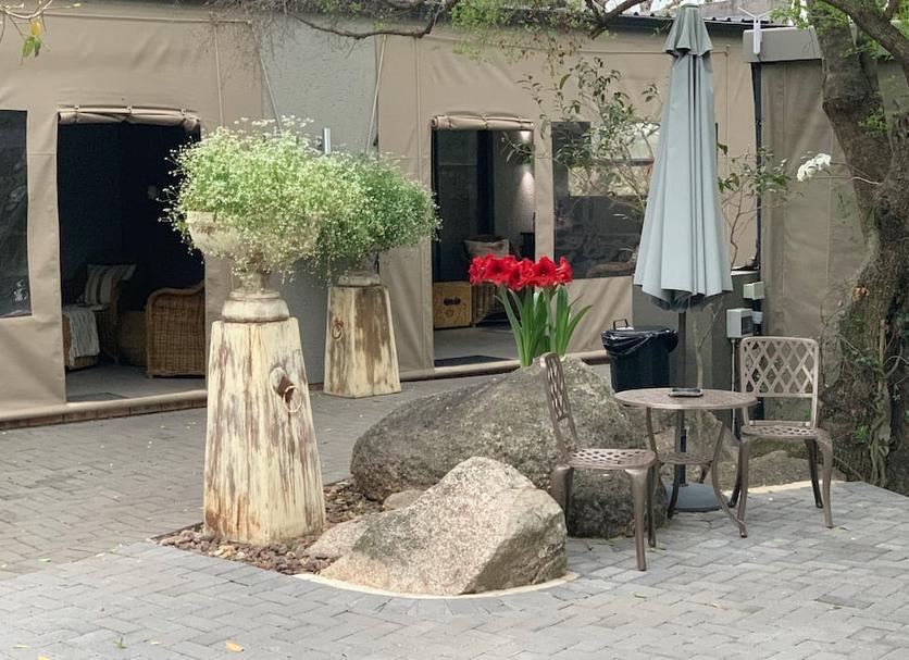 Patio Billede