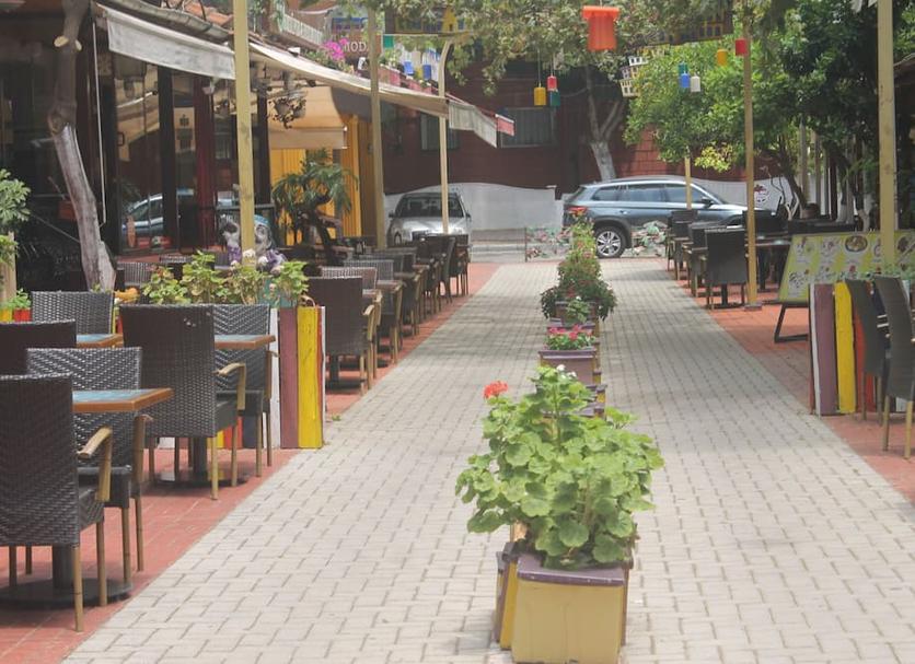 Patio Billede