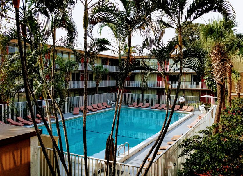 Pool Billede