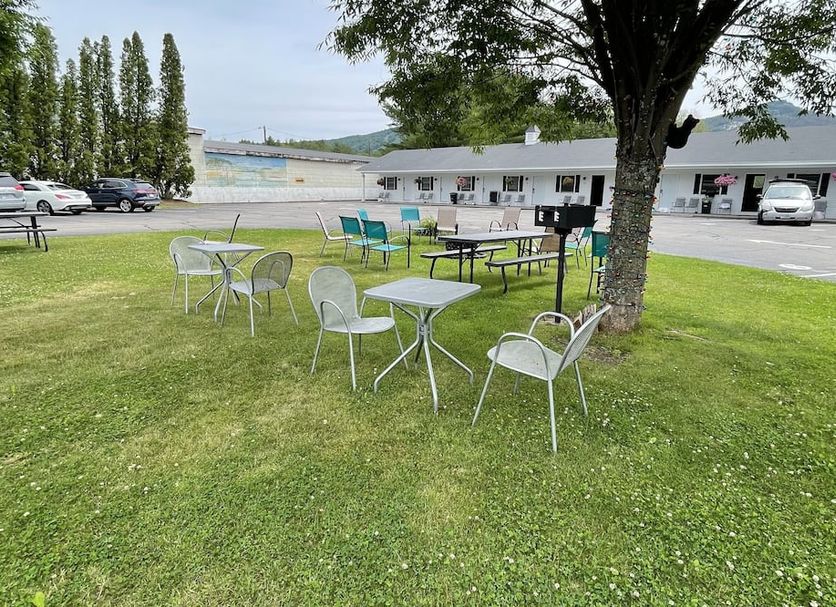Patio Billede