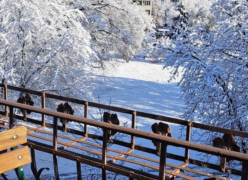 Balkon Billede